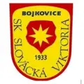 SK Slovácká Viktoria Bojkovice
