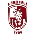 TJ SOKOL VESELÁ