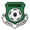 Sokol Částkov