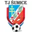 TJ Šumice